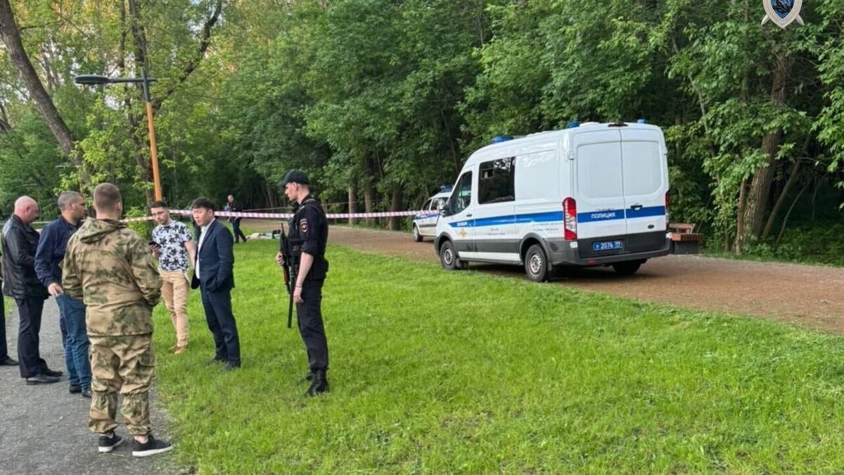    Следственный комитет России