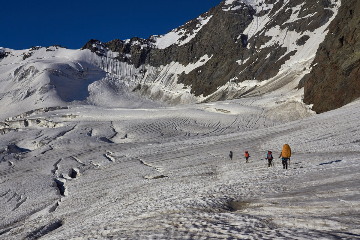 Цейский ледник. Источник: Denis Dolgopolov, CC BY-SA 4.0
