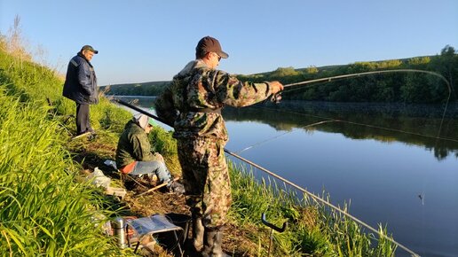 Рыбалки на Быстрой сосне