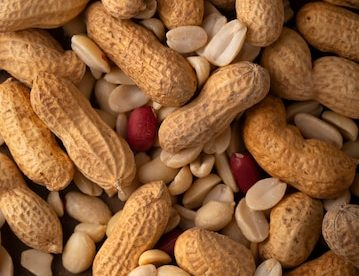 Фото: ru.freepik.com