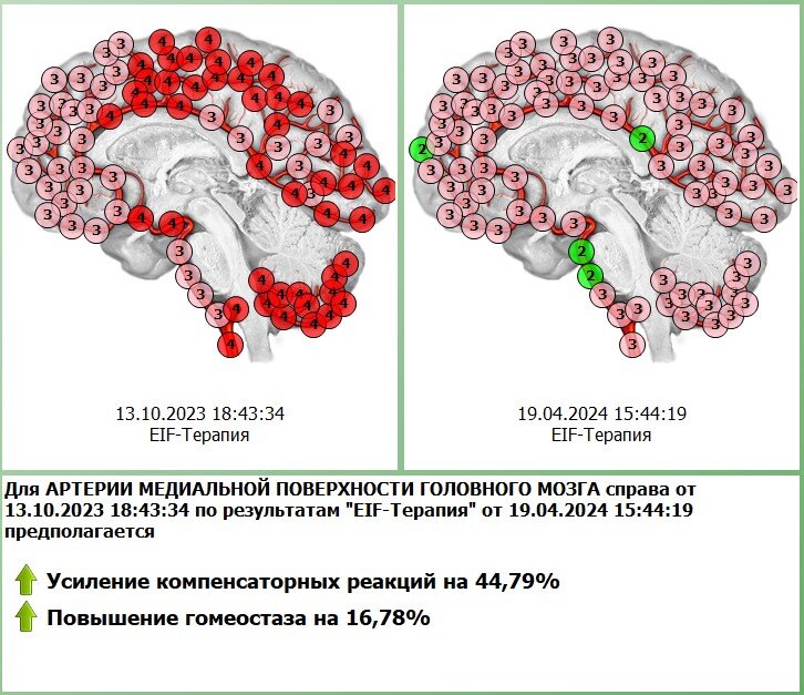 Диагностика с коррекцией состояния в программе Дианел