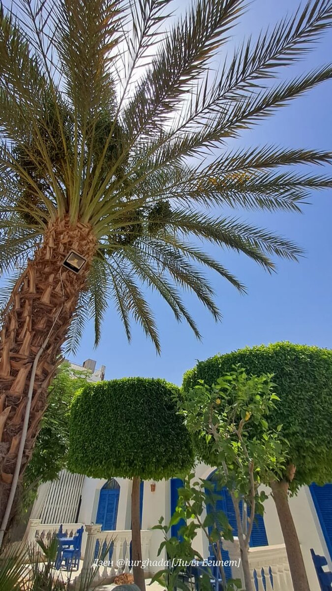 Фото для Дзен, канал @hurghada [Лиля Египет]. На канале публикуются самые распространенные проблемы, которые возникают в браке с египтянином.