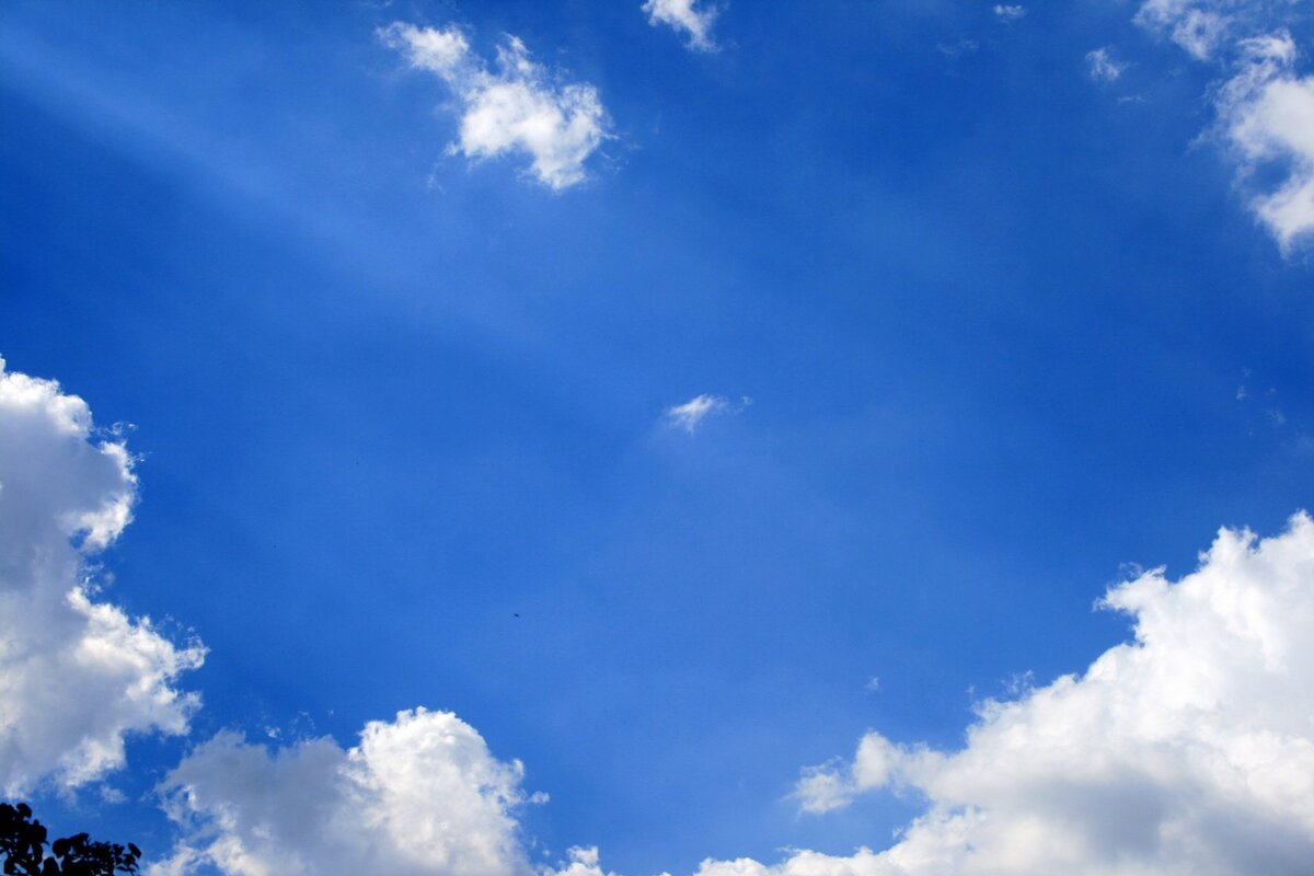 в день рождения ...