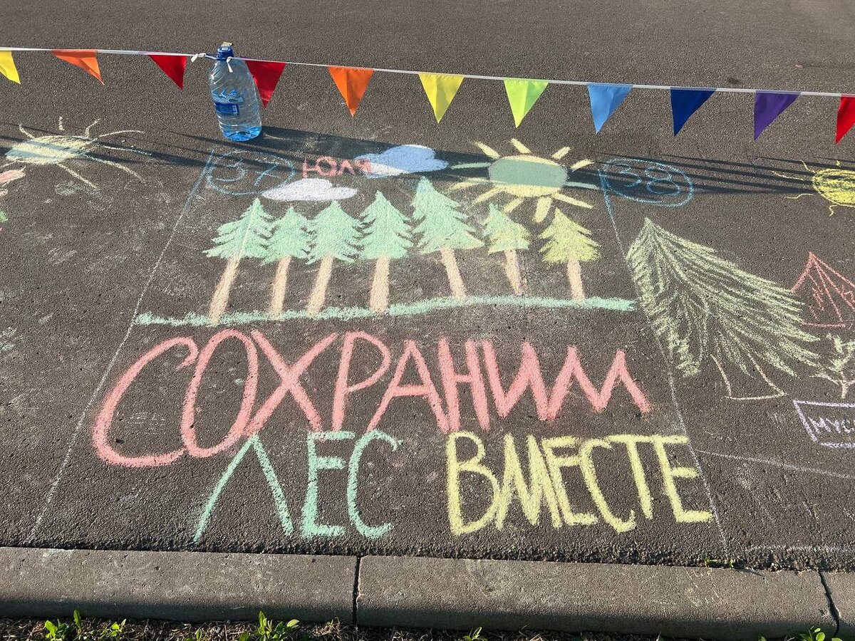 Сохраним Лес Вместе.