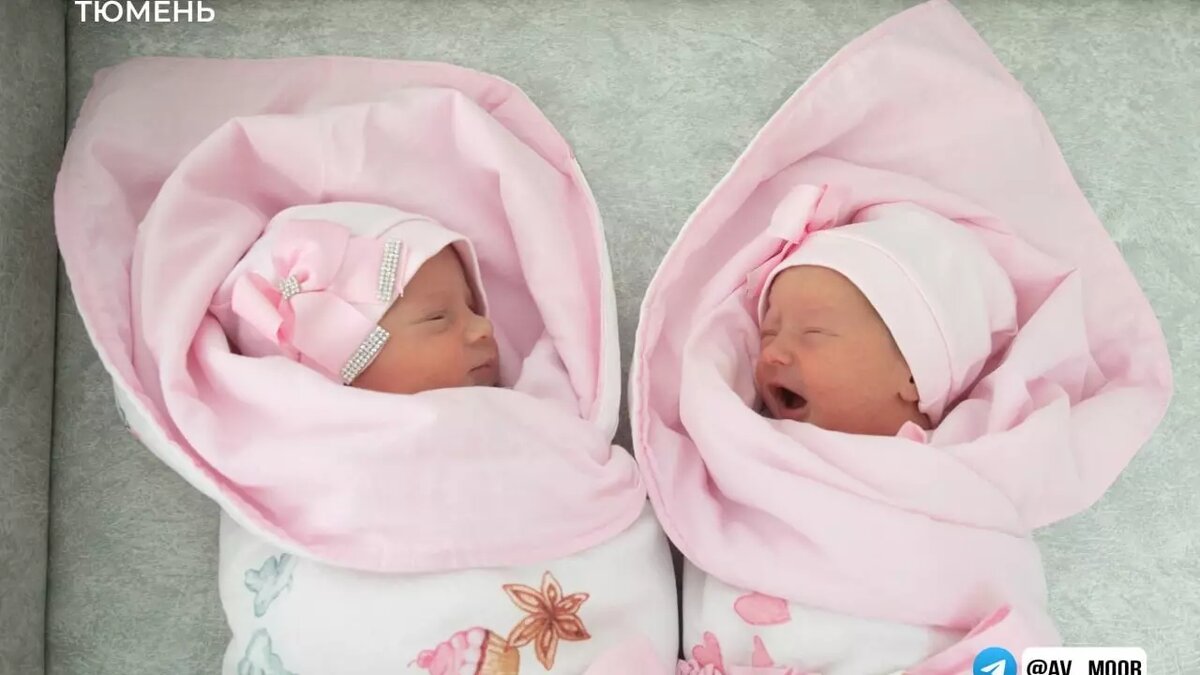     Источник: телеграмм-канал Александра Моора