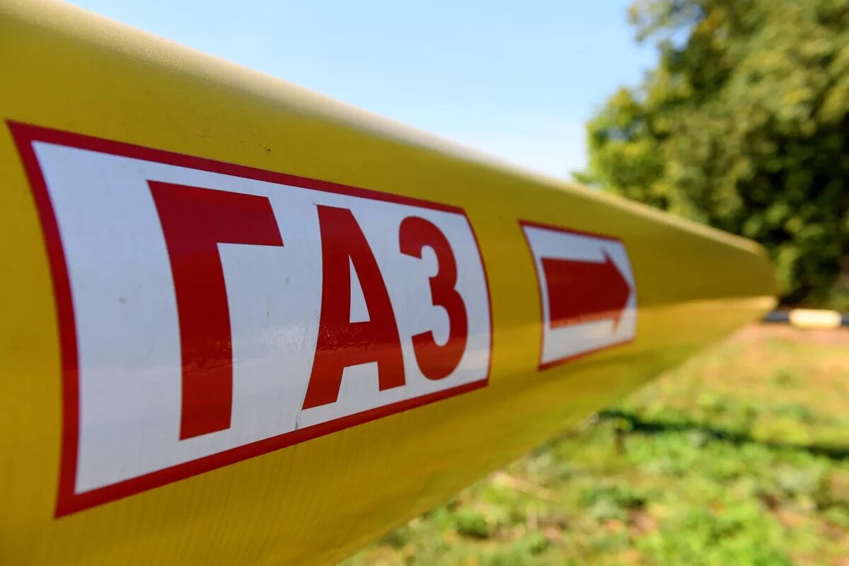 © Sputnik / Максим Богодвид