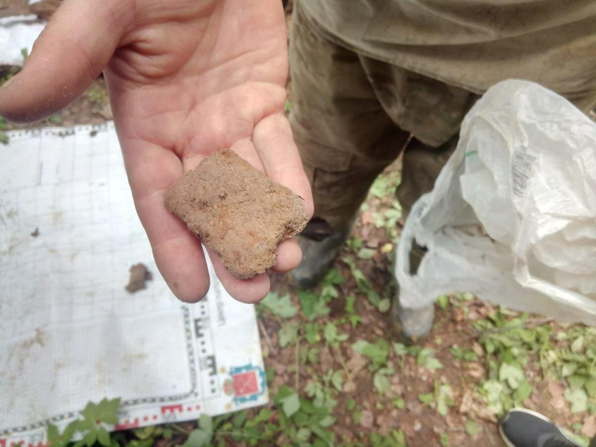 Фото: пресс-служба ГСУ СК РФ по Петербургу