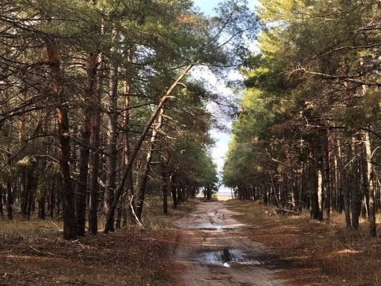 Фото: Николай Ткаченко