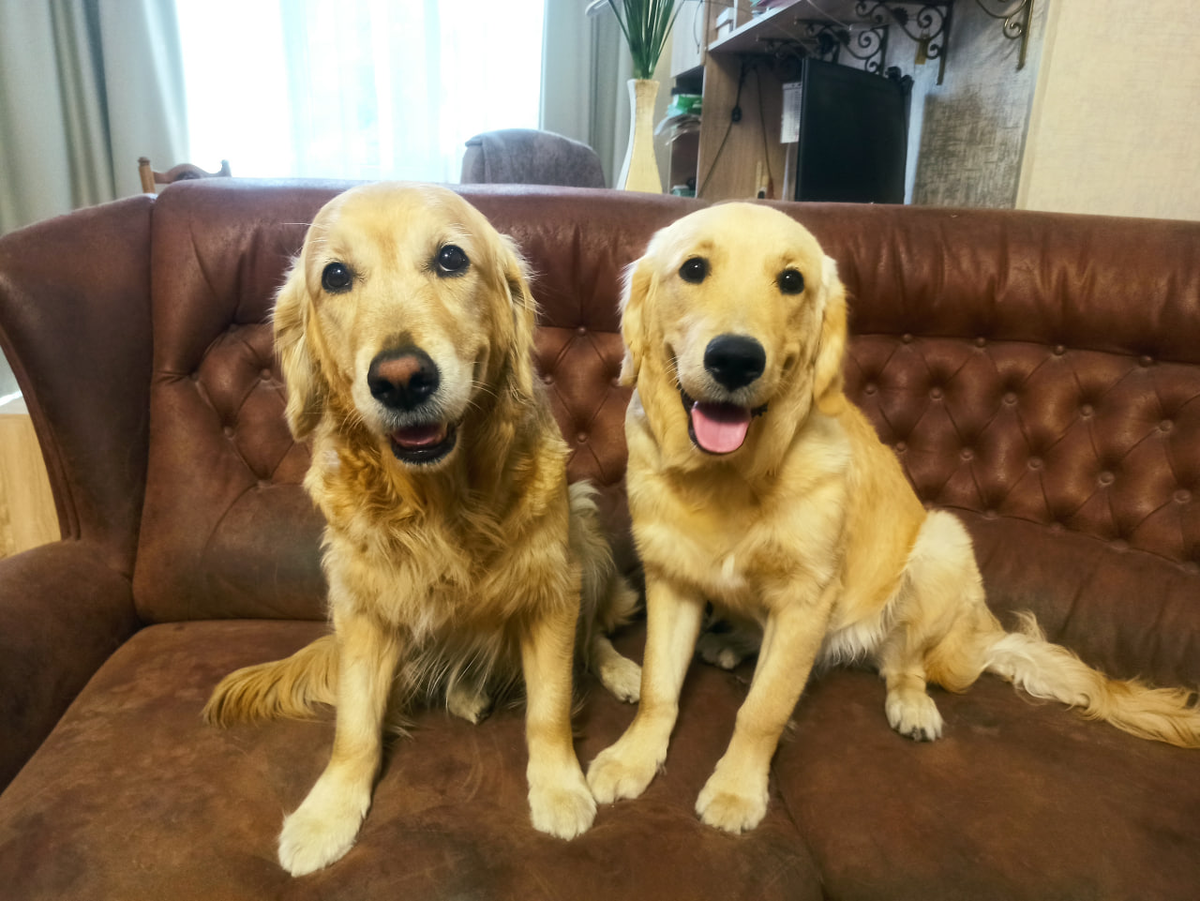 Ляля и сынок Луис