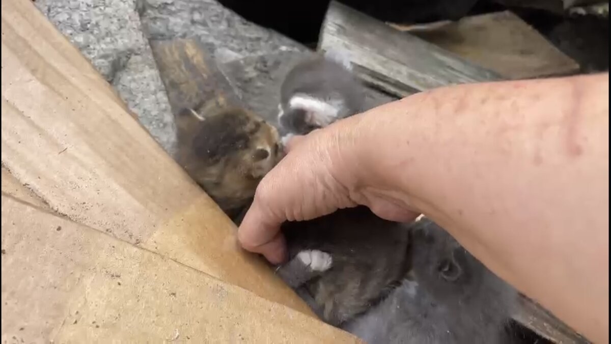 -2-2