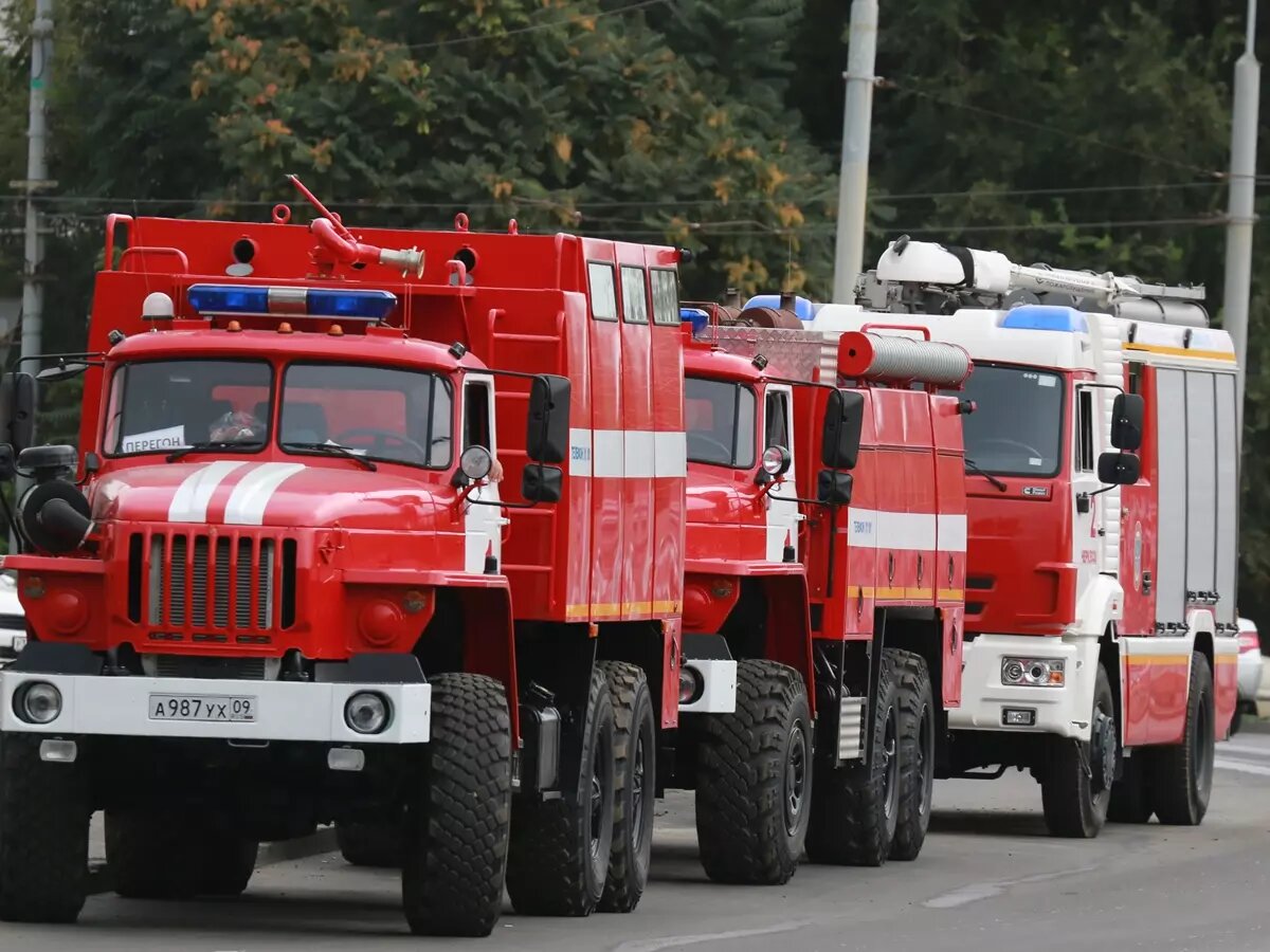 В Тарасовском районе третий раз за неделю полыхает лес | Donday.ru | Дзен