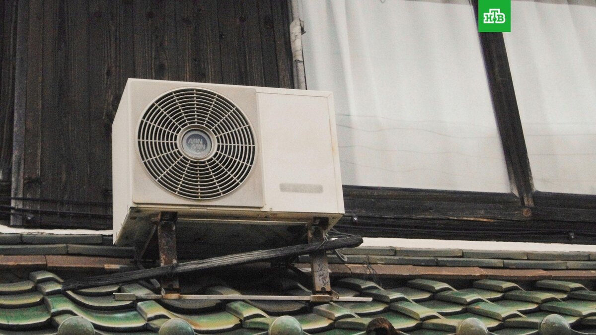    Фото: t Penguin / unsplash.com