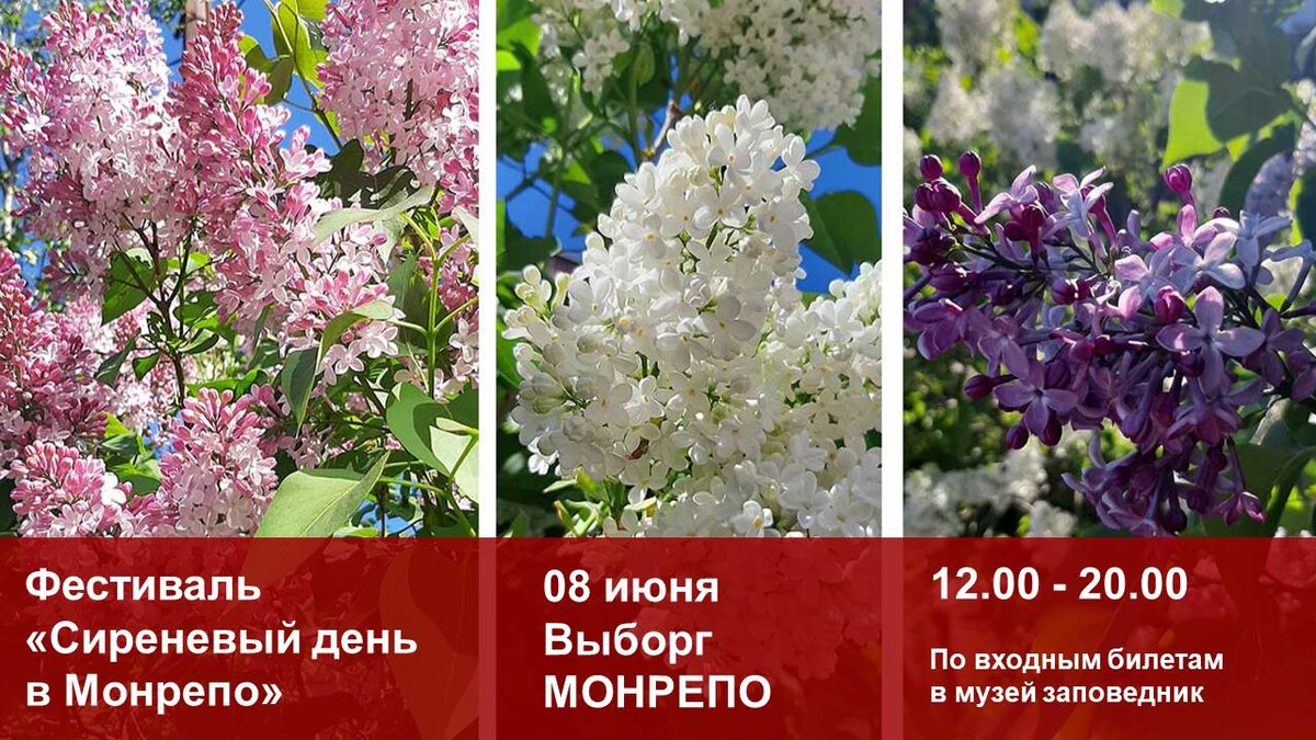 Иллюстрация "СмотриВыборг"