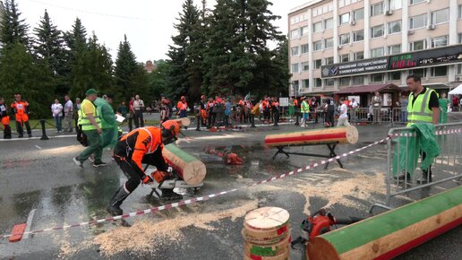 В Йошкар-Оле определили лучшего вальщика леса