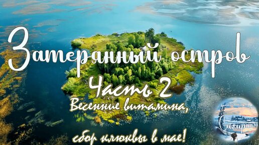 Затерянный остров на просторах Западной Сибири/часть 2/ Собираем майскую клюкву/весенние витамины