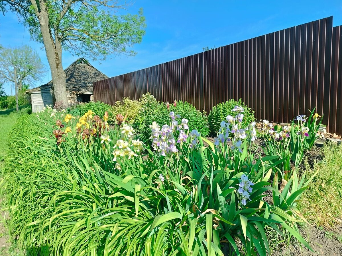 Вот мои красотуньки