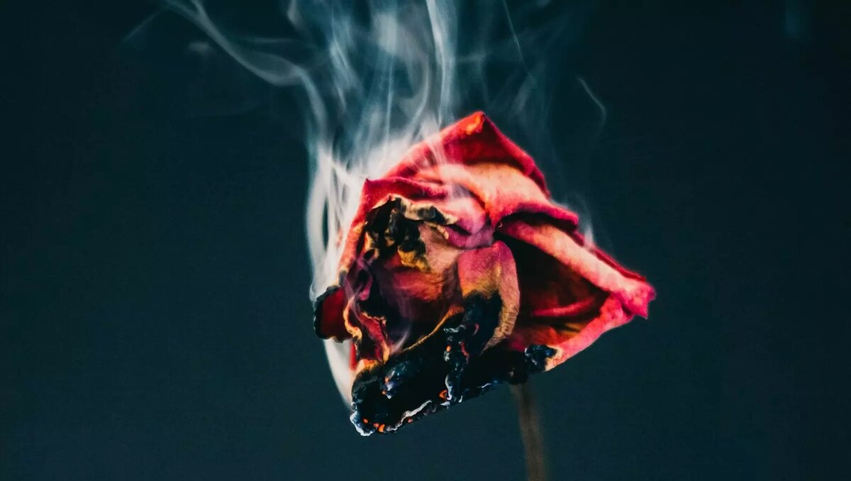     Автор: Unsplash