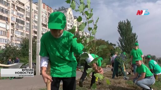 В Детском саду на юге Волгограда есть свой собственный розарий