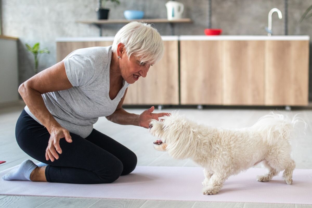 Собака с пожилой женщиной 