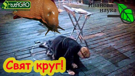 ОНИ ПРИХОДЯТ ПО НОЧАМ! Рисуем круг-забор против слизней! Слизень не пройдет!