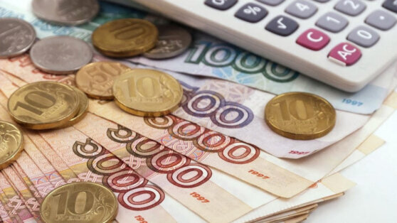    Срок софинансирования долгосрочных сбережений граждан увеличат до 10 лет Ирина Петрова