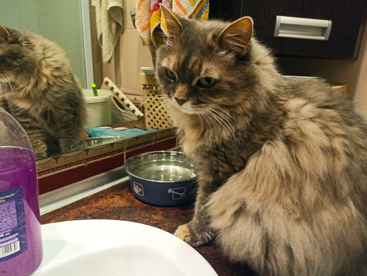 Строгая Маняха, у неё не забалуешь