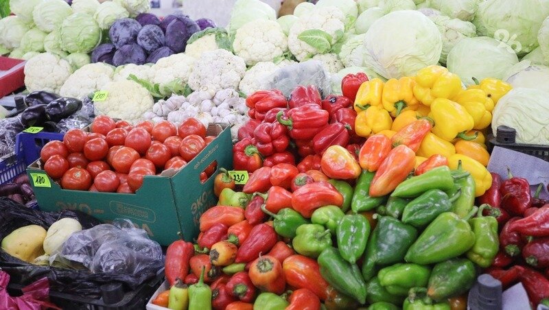      Фото: Дмитрий Ахмадуллин / / ИА «Победа26»