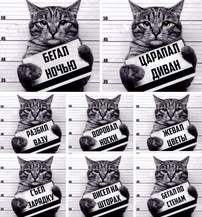 Иллюстративное изображение.