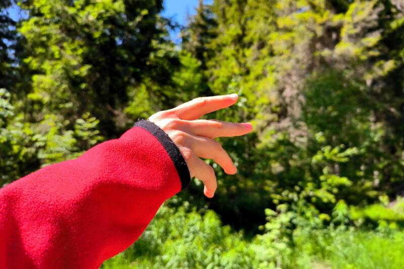 Мигранты впятером изнасиловали русскую девочку. Возмездие настигло ...