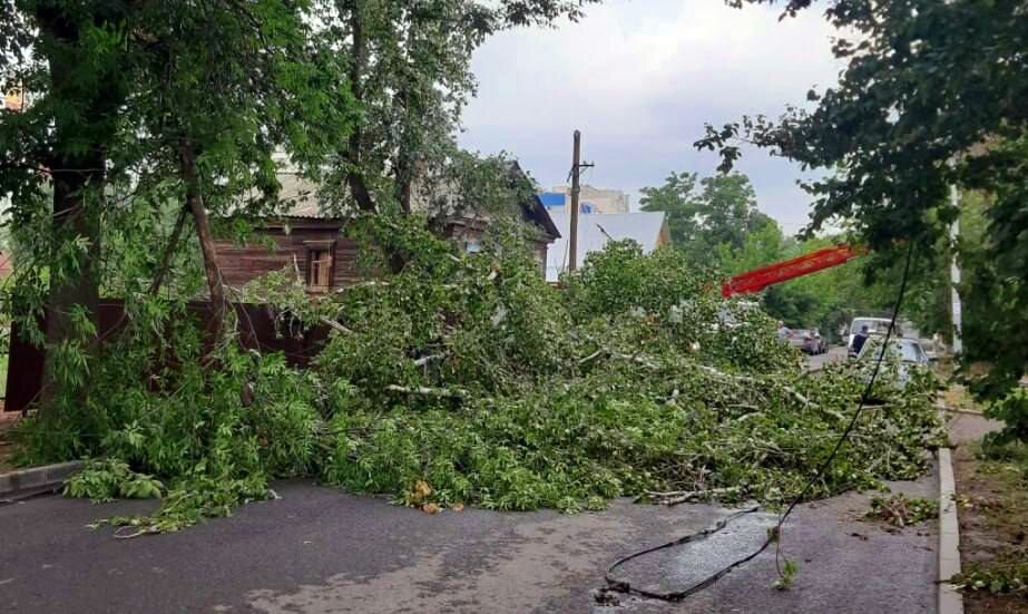 Фото пресс-службы мэрии Саратова. Последствия непогоды