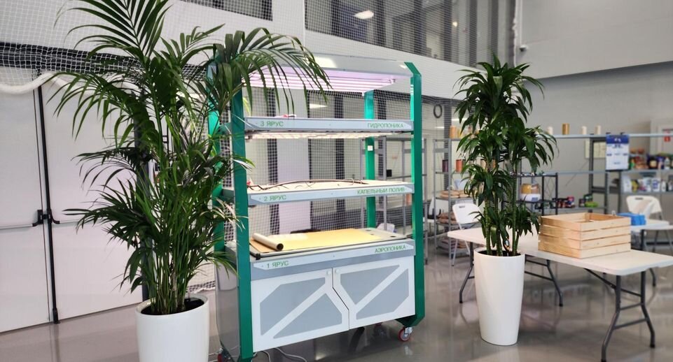    Источник фото: Михаил Раскин