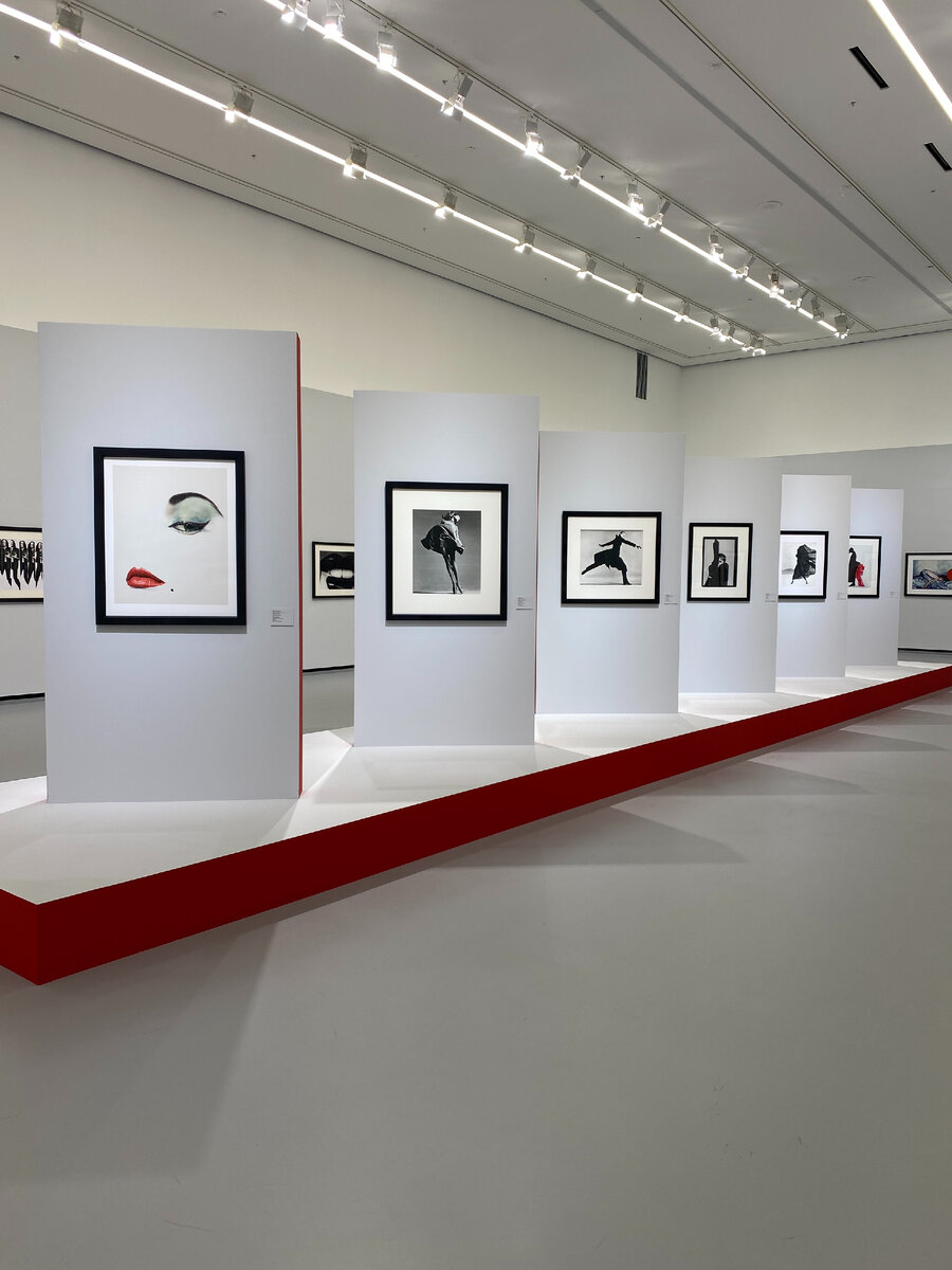 На выставке «Коллекция Фонда STILL ART Шедевры мировой фотографии моды» 