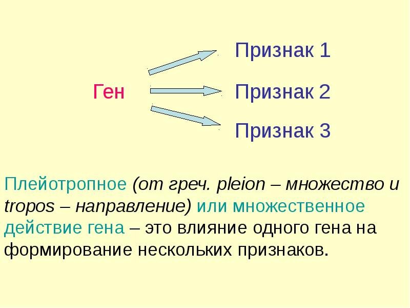 Взято из открытых источников