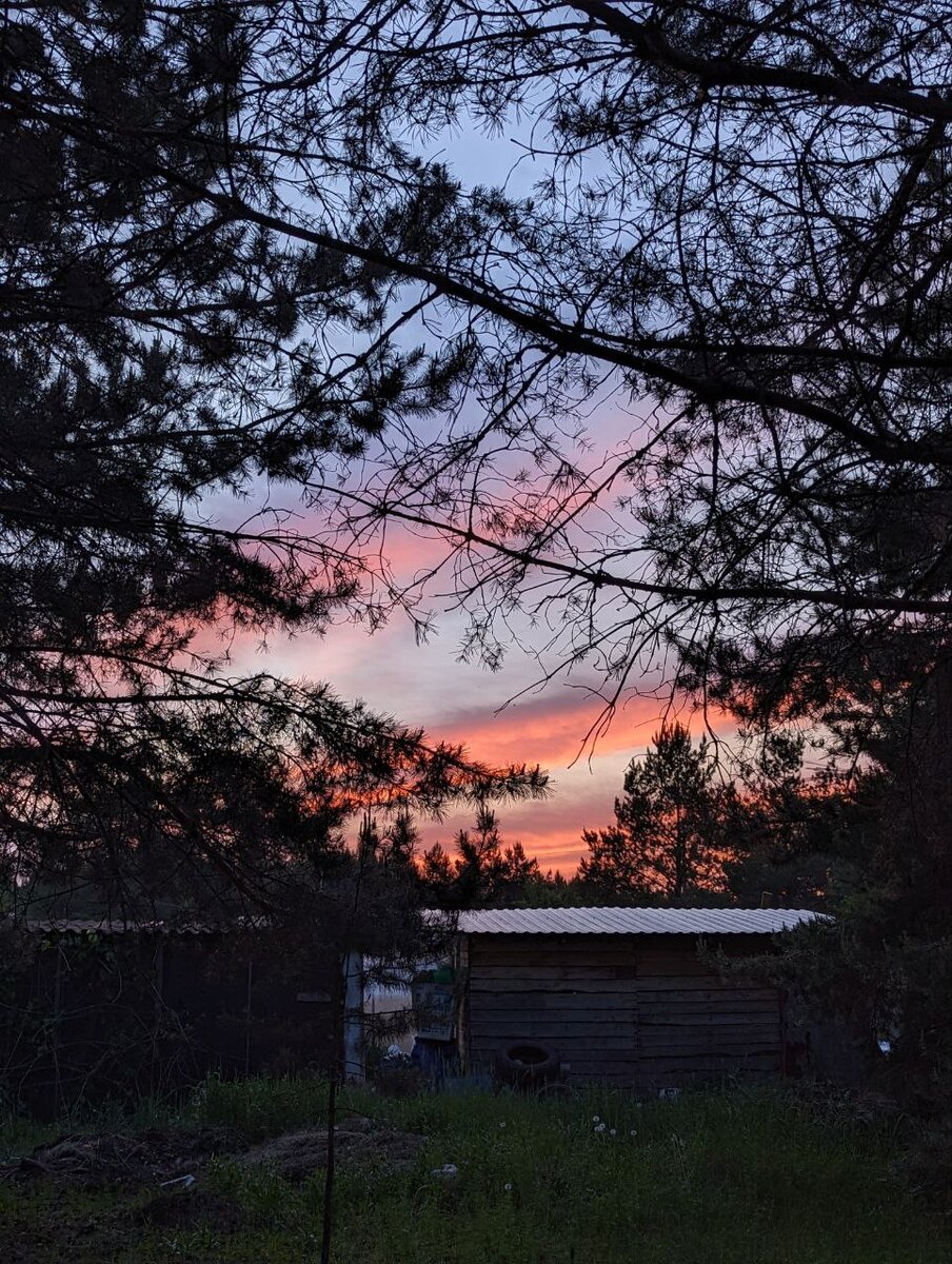 Фотозарисовка: дача для отдыха. | Строим дачу в лесу | Дзен