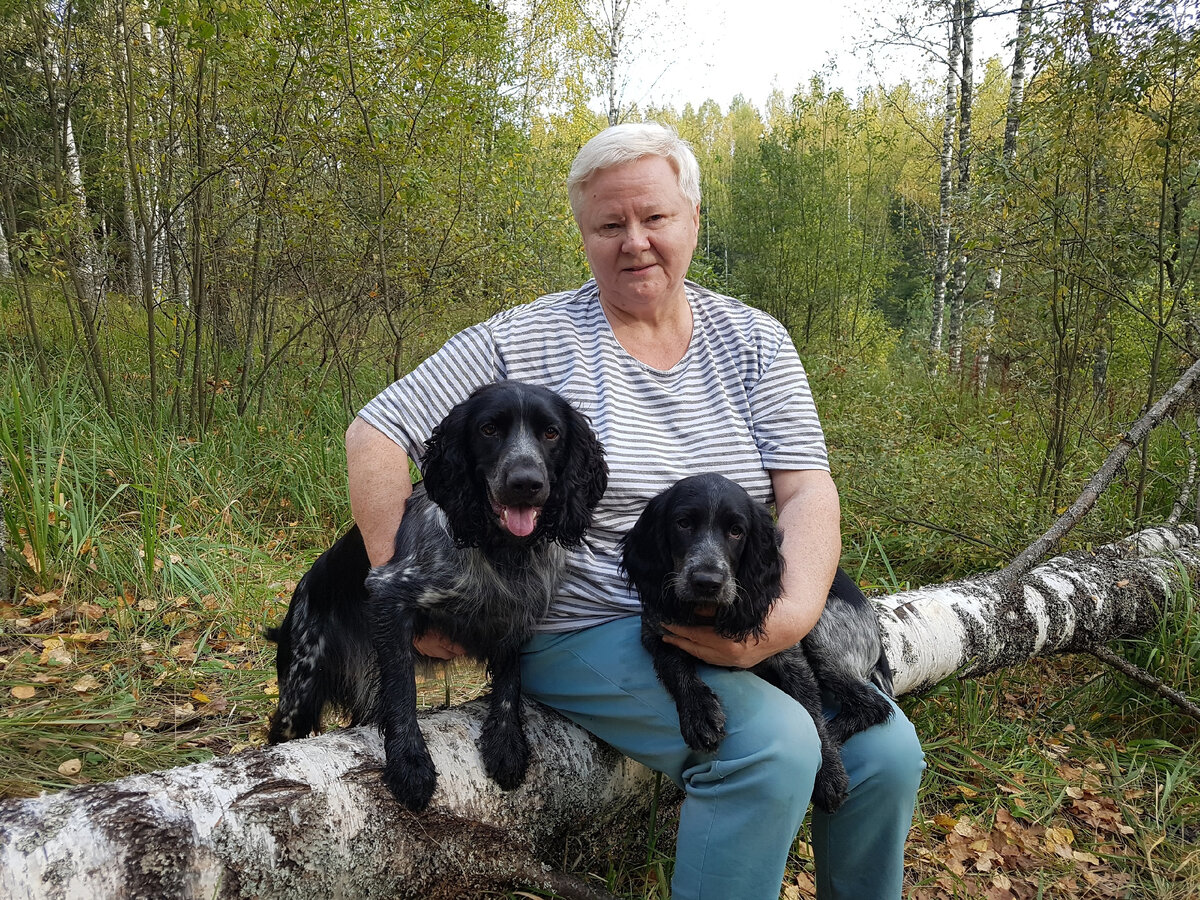 Это я и мои спаниели. Брайта уже нет с нами.  Но мы с Асей всегда его вспоминаем.