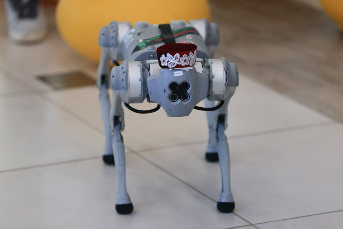 Автор фото: Павел Хацаюк/ «Вечерняя Казань»