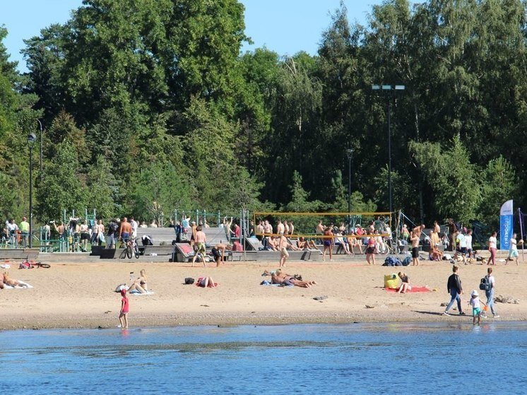     Фото: МК в Питере