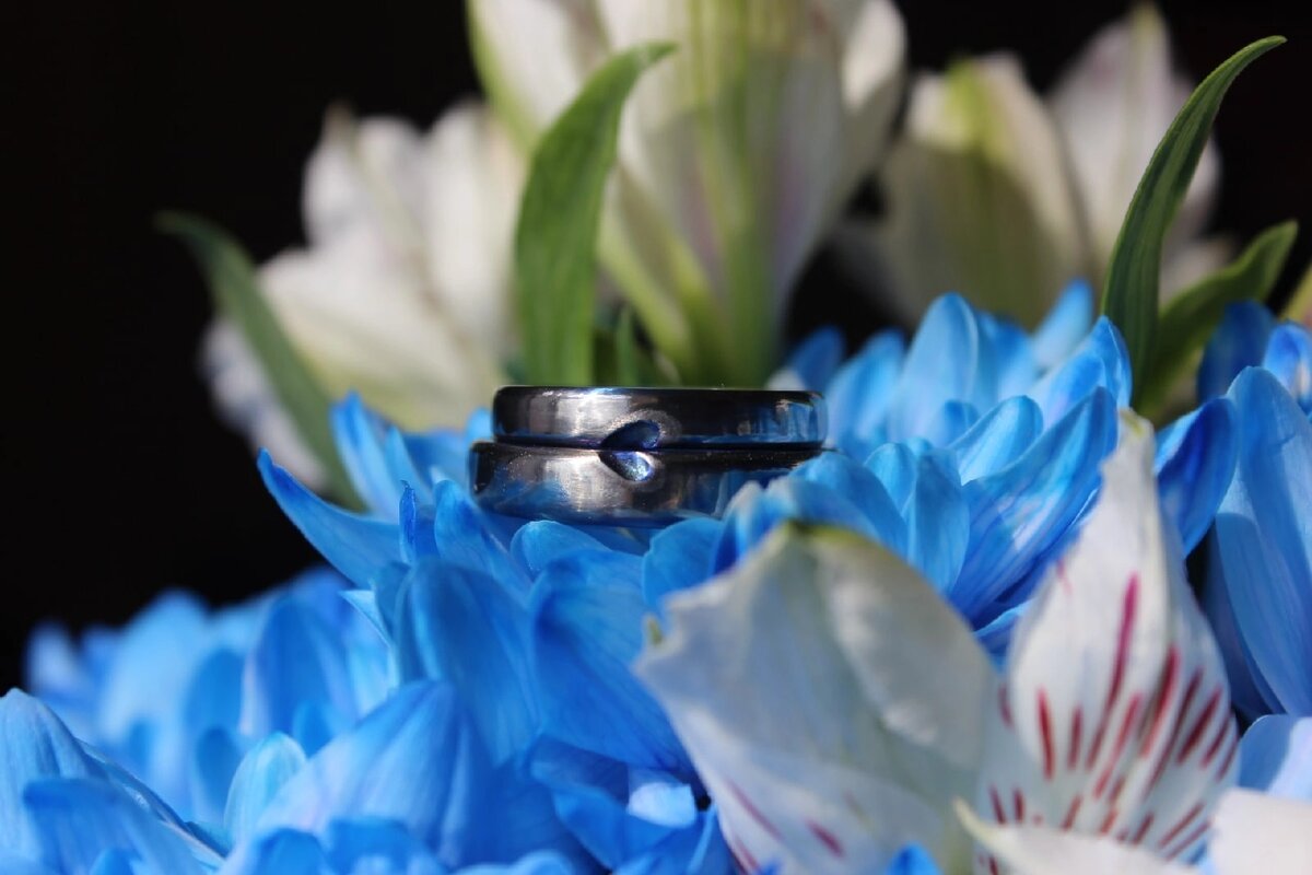 Обручальные кольца из титана