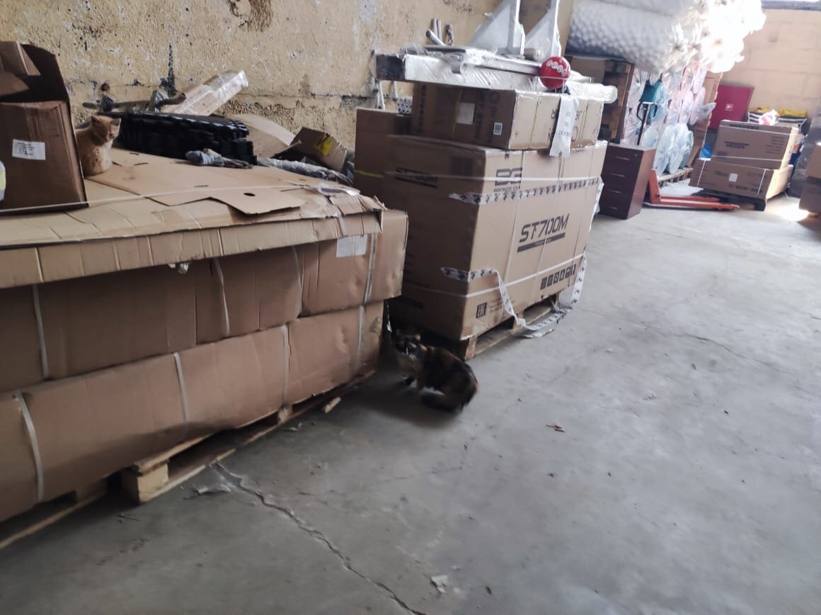 Внизу видимо мамка, а на коробках сидит рыжая морда