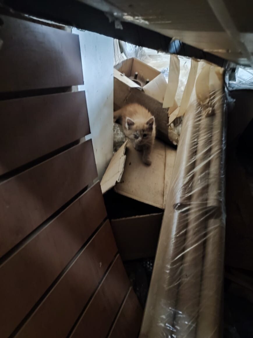 Прячутся где-то за коробками