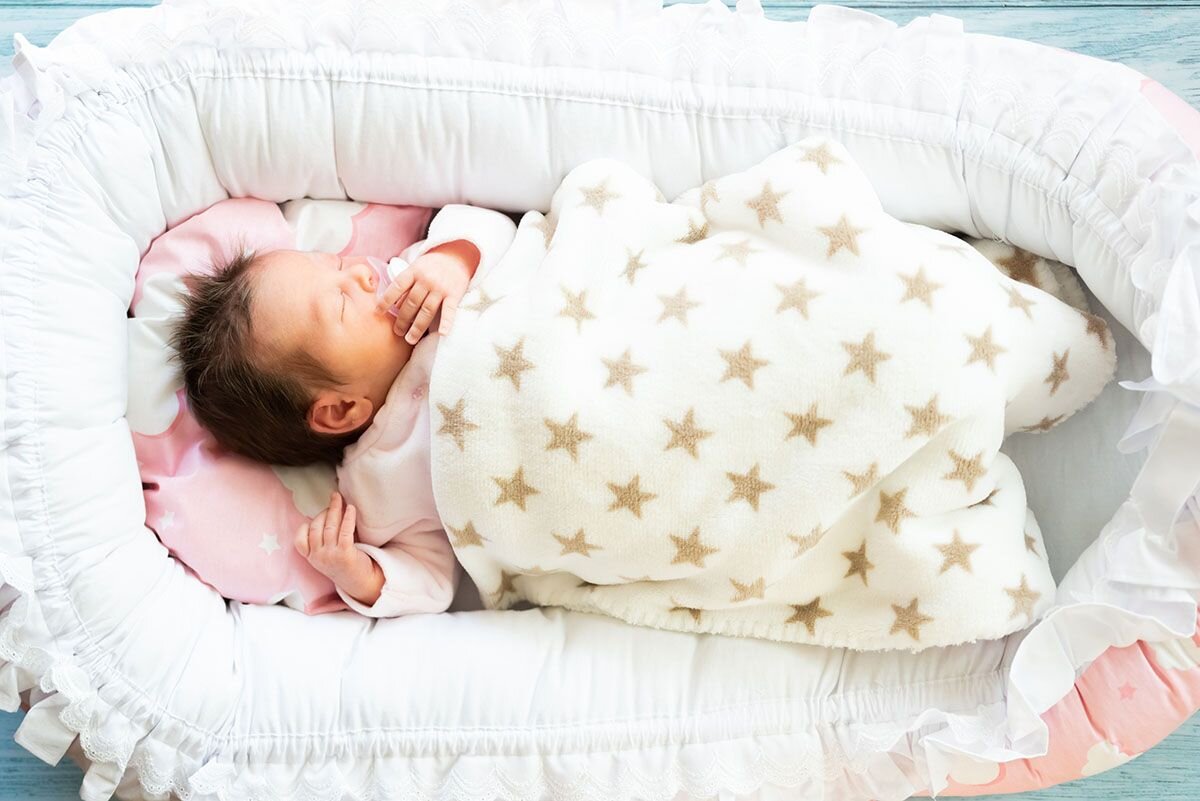 Интересно, какие сны снятся маленьким птенчикам в таких «гнездышках»? Источник: shutterstock.com📷
