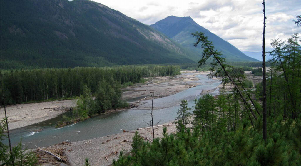 Река Тыры. Фото: Андрей Лебедев. Источник: water-rf.ru