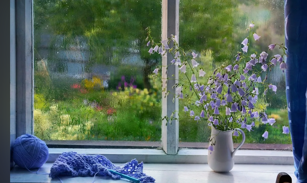 Яндекс картинки