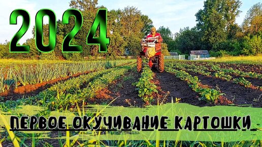 Первое окучивание КАРТОФЕЛЯ дисковым окучником на МОТОБЛОКЕ 2024! Огород в деревне! Битва за урожай 2024!