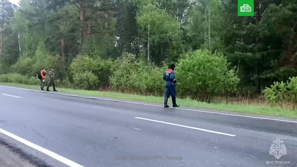    Двое детей пропали в лесу в Свердловской области