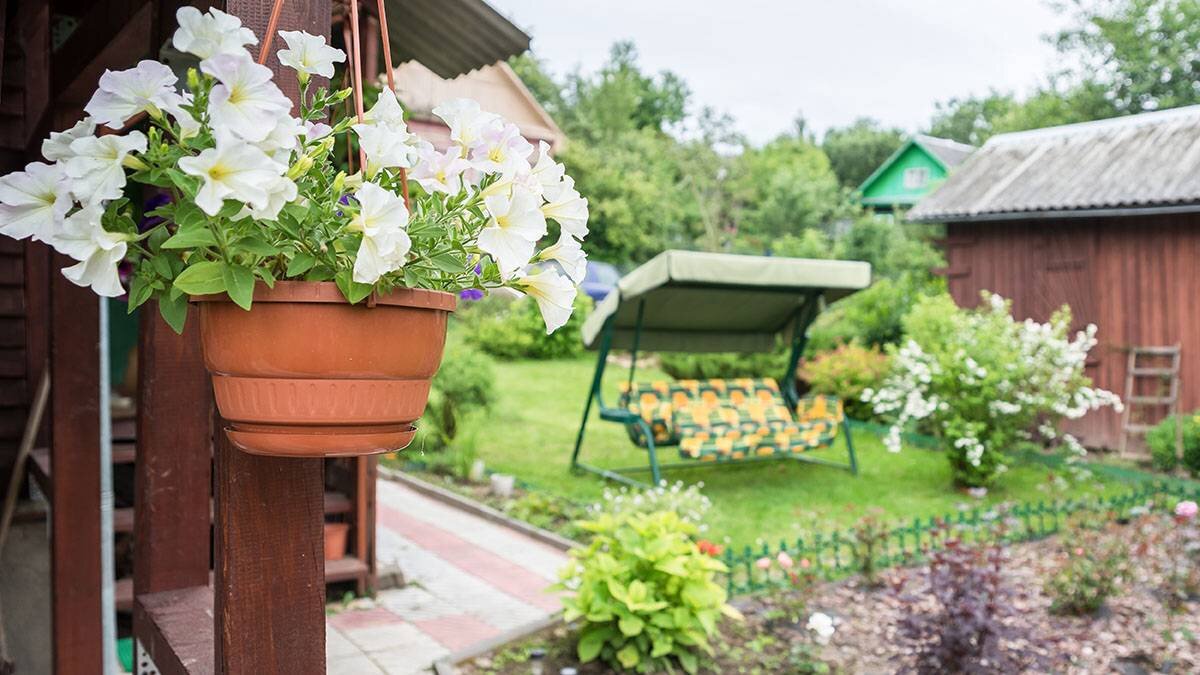    Фото: shutterstock