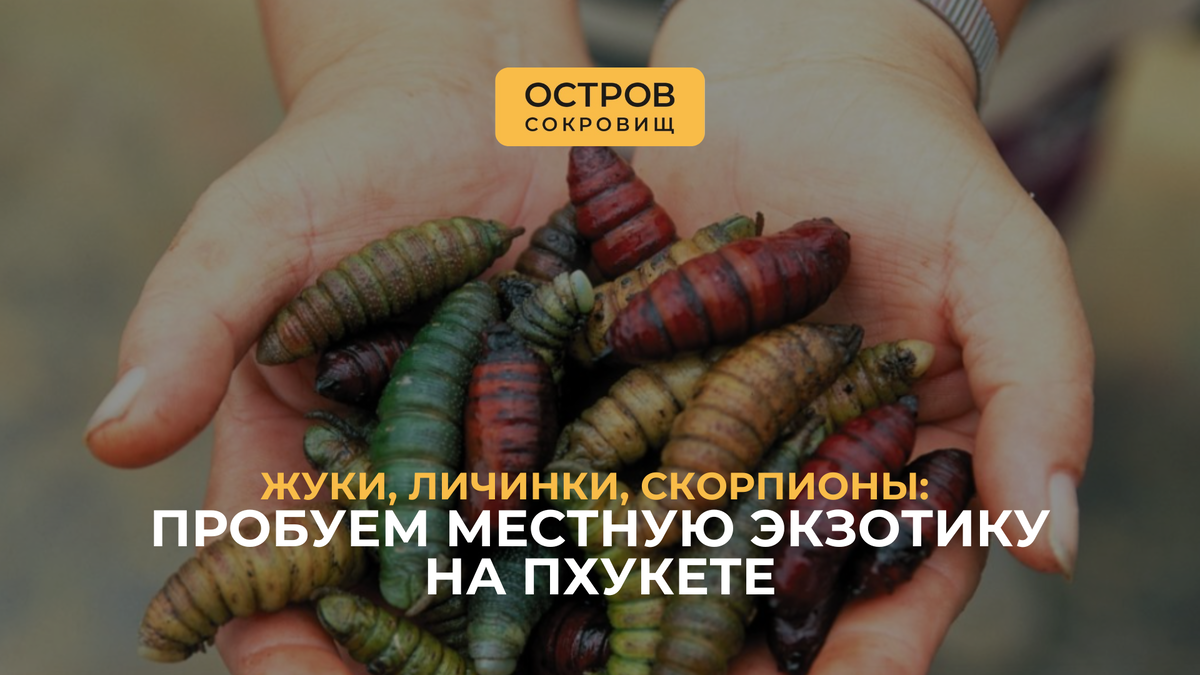 Пробуем жуков и личинок на Пхукете