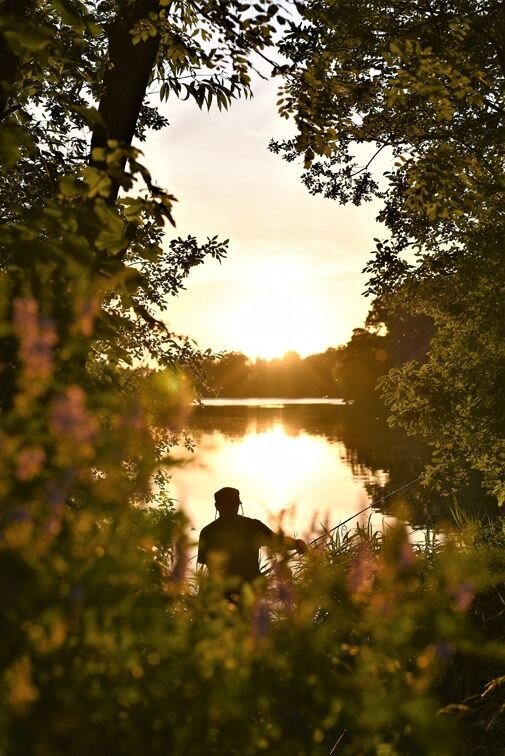 Картинка от Pinterest