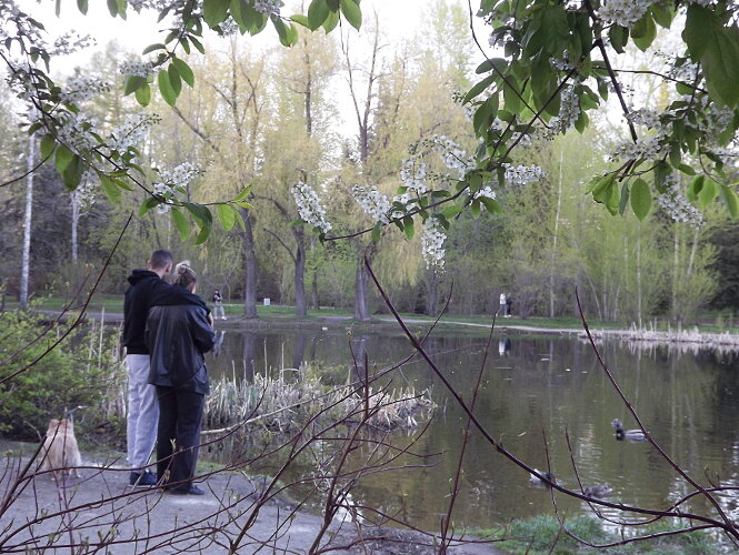 Фото автора