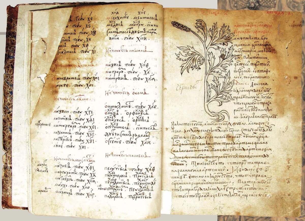  📷 📷 📷 📷 📷 📷 📷   Травник Ивана Грозного